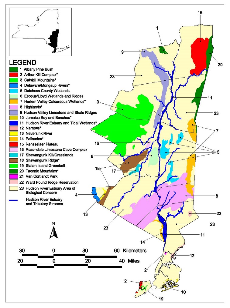 This map from the Framework, available through the Framework link in the adjacent text, displays 23 significant biodiversity areas in the Hudson estuary corridor, including a Hudson River Estuary Area of Biological Concern that encompasses the entire corridor.