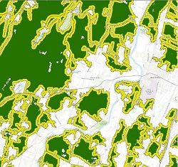 excerpt of forest patch map with green-shaded forest cores and yellow-shaded core edges with a white background