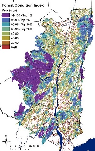 Forest Condition Index Map for the Hudson River Estuary Watershed, showing forest patches that are color-coded based on their index score. The project is described at  https://www.nynhp.org/forest-patches