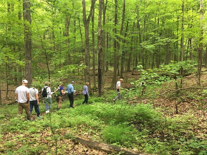 A group of community volunteers walk single-file through the woods during a habitat workshop. Photo by I. Haeckel