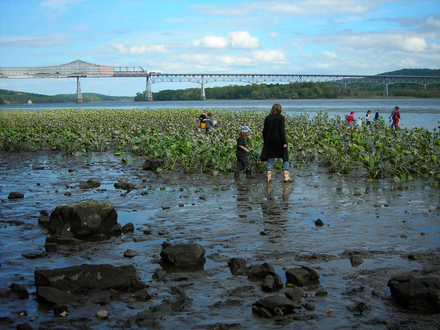 A teacher and young students explore a tidal marsh at Dutchmans Landing on the Hudson River. Photo by L Heady