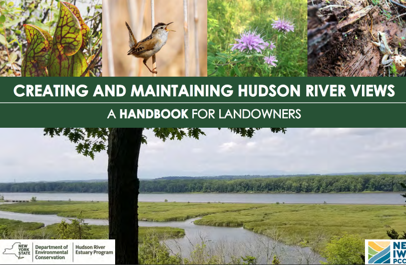 Cover of Creating and Maintaining Hudson River Views: A Handbook for Landowners