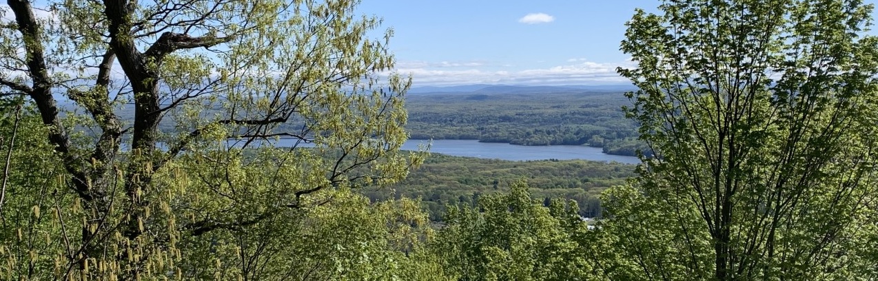 Spring view of the Hudson River from a high point, looking through trees and across forest. 