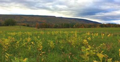 Autumn view of the Shawangunk Ridge from a meadow in the Town of Wawarsing, Ulster County, NY.