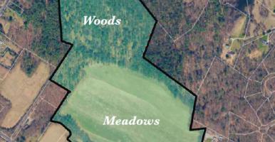 Parcel shaded in green on an air photo, with labelled areas of woods and meadows.