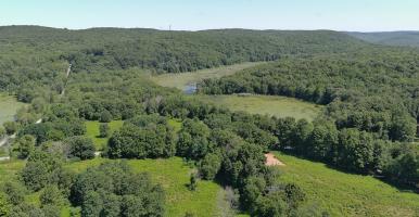 aerial view of forests, fields, and wetland