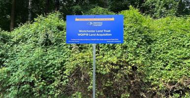 blue WQIP sign in front of green hedge