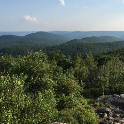 View of expansive forest in the Hudson Highlands