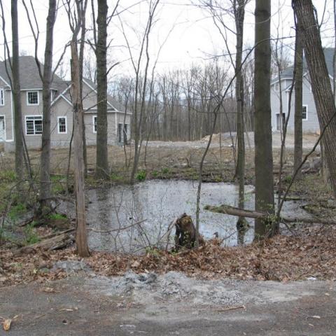 A housing development encroaches upon what's left of woods and a small woodland pool. Photo by Scott Cuppett