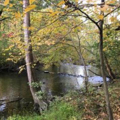 Autumn view of Sawkill Creek - Courtesy of Winnakee Land Trust