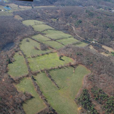 Aerial view of farm fields surrounded by forests