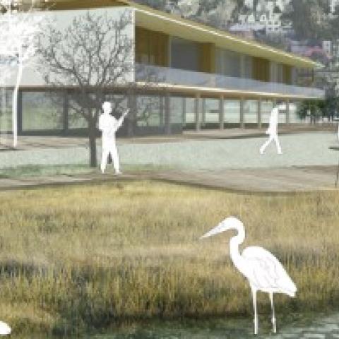 Design concept of a waterfront area with overlaid graphic images of people and shorebirds