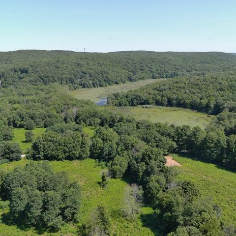 aerial view of forests, fields, and wetland