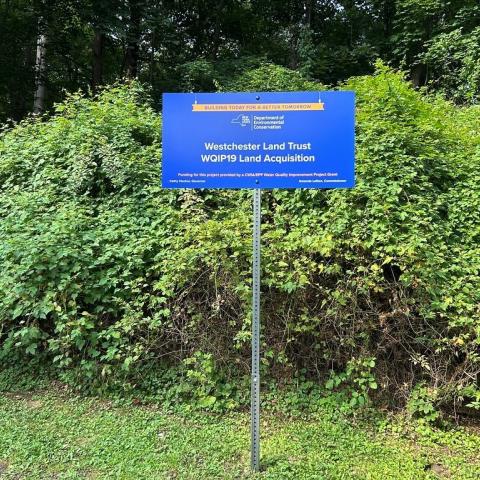 blue WQIP sign in front of green hedge